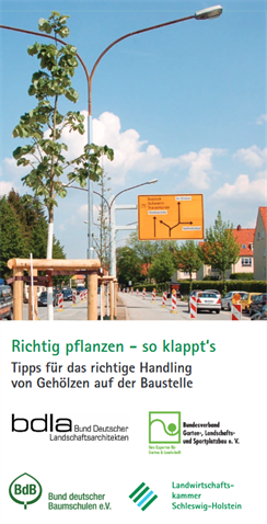 Darstellung eines Flyers der das Thema Richtig Pflanzen vermittelt.